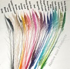 10 Peacock Sword Feathers 25-35  Length Bleached   Dyed 21 Colors Available