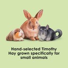Kaytee Timothy Hay  High Fiber For Rabbits  Guinea Pigs  12 Pounds