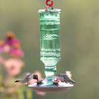 Glass Bottle Hummingbird Bird Feeder Antique Green Vintage Nectar Hanging Perch