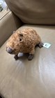 Jellycat Clyde Capybara Plush Toy Stuffed Animal W dust Bag