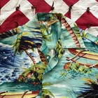 Vintage 1950s Hale Hawaii Rayon Shirt Mens Small Used As Is Rockabilly Style