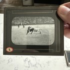 5 Antique Magic Lantern Glass Picture Slides 4 Bullfights  1 Portrait