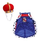Pets Dog King Costume Clothes Cloak With Crown Hat Cat Dress Xmas Halloween Gift