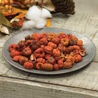 New Primitive Pumpkins Scented Mini Halloween Harvest Fall 3 Cups Putka Pods