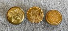 3 Antique Victorian Etched Stamped Brass Buttons Lion Bird On Branch Flowers
