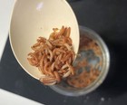    peanut Beetle Culture With Habitat        live Food For Fish  Frogs  Geckos    More