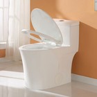 Horow Elongated 1-piece Toilet W comfort Ada Seat Dual Flush 12 10   Rough In