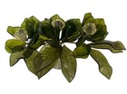 J Corelli 1967 Vintage Green Cellulose Acrylic Flower Centerpiece Lucite