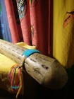 Rain Stick Survivor Amazon  Outplay Outlast Outwit  21 Inches Long