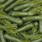 50 Pk  3 5  Salt Tubes Soft Plastic Bass Fishing Baits Color Choice