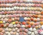 Sea Shell  From Japan  Surf-tumbled Beautiful Shell