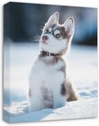 Customized Printing Personalized Digital Printing Customized Mural Painting