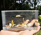 Vintage Resin Acrylic Block Ocean Souvenir Paperweight Nautical D  cor  