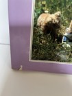 The Secret World Of Teddy Bears Hardcover Vintage Children s Book