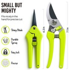 2-pack Stainless Steel Gardening Scissors  Pruning Shears And Clippers For Ga   
