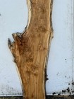 P101 Maple Burl Live Edge Slab 63x19x1 5 8 Birds Eye Curly Crafting  Woodworking
