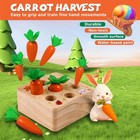 Montessori Toys For 1 Year Old  Montessori Baby Carrots Toy For 6-18 Months     