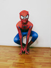 Spiderman Suit For Kids With Luxury Lenses
