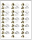 150 Primitive Ducks With Flowers Mailing Return Address Labels Personalized