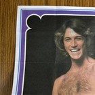 Andy Gibb Bee Gees Poster Donruss 10 5 x15  - Original 1978 - Poster  5  of 42 