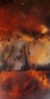 Carey Plume Agate - Beautiful Lapidary Material Cut Slab From Oregon   62 Grams 