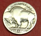 Hobo Buffalo Nickel T-rex Skull Real Us Nickel