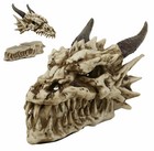 Ebros Smoking Nostrils And Eyes Skeleton Dragon Skull Incense Stick Burner Box