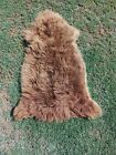 Genuine Sheepskin Rug    real Sheep Fur    soft   Fluffy    multiple Colors For Decore