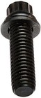 Arp 1352101 Black Oxide 12-point Intake Manifold Bolt Kit 