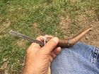 Rare Old Abenaki Maine Found Native American Indian Crooked Knife 