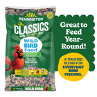 Pennington Classic Dry Wild Bird Feed And Seed  40 Lb  Bag  2 Pack