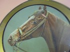 Vintage Horse Head Flue Cover