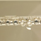 Wisemann  0901fl Flute  16holesilver Plated Finish  With Carrying Case
