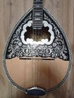 Greek Bouzouki Special Offer-hardcase   Pickup   300 Backing Track   Pdf Scores