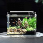 Lon Aquarium Fish Tank   rimless Aquarium Tank   7 1  L    5 1  W    5 9  H 0 9 Gal