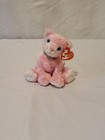 Ty Beanie Baby - Carnation The Pink Cat  6 Inch  - Mwmts Stuffed Animal Toy