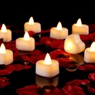  1000 Pieces Artificial Rose 12 Pcs White Candles   1000 Pcs Red-black Petals