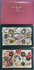 Japan 2019 Proof Coin Set Cherry Blossom Viewing  20g Silver Color Medal Key Set