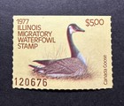 Wtdstamps - 1977 Illinois - State Duck Stamp - Lotp - Mnh   color Shift Error  
