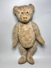 1927 Antique German Steiff Teddy Bear White Humpback Central Seam Button Eyes
