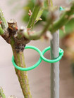 50pcs Garden Plant Support 8-shaped Clips For Stems   Flower Brackets