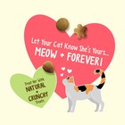 Purina Friskies Party Mix Natural Catnip Flavor Yums Treats For Cats  20 Oz Cani