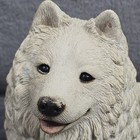 Vintage Sandicast Samoyed Dog Figurine Sandra Brue 1986 White Husky Statue 10 