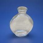 Bud Vase Propagation Glass 4 5  Tall 3  Wide Decorative Plant Holder