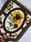 Lucite Spoon Rest Dried Flower Seeds Ladybug 70s Bohemian Mcm Decor Vtg
