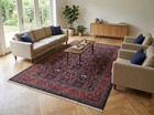 7x10 Authentic Hand Knotted Fine Bijar Rug B-72308