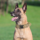 Tactical Dog Collar Heavy Duty Nylon Military Metal Buckle Adjustable Handle New