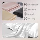 Both Sides Real Silk Pillow Cover For Hair And Organic Silk Pillowcase 2 Pack