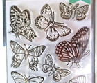Beautiful Butterflies Butterfly Clear Stamp Set By Hero Arts Cm687 New 