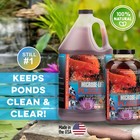 Microbe-lift Pl Pond And Outdoor Water Garden Cleaner  Safe For Live Koi Fish 